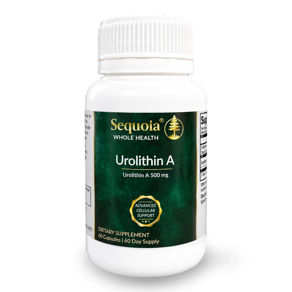 Urolithin A (500 mg) | 60 Capsules