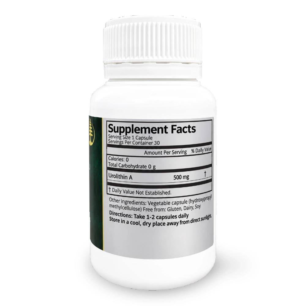 Urolithin A (500 mg) | 60 Capsules - Image 3